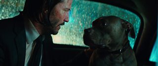'John Wick: Chapter 3 - Parabellum' Clip - Taxi Video Thumbnail