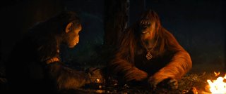 kingdom-of-the-planet-of-the-apes-clip-campfire Video Thumbnail