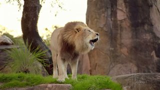 MAGIC OF DISNEY'S ANIMAL KINGDOM Trailer | Movie Trailers