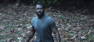 NEWBORN Trailer Video Thumbnail