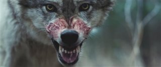 out-come-the-wolves-trailer Video Thumbnail