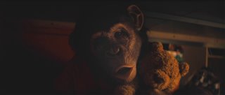 primate-trailer Video Thumbnail