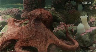 remarkably-bright-creatures-teaser-trailer Video Thumbnail