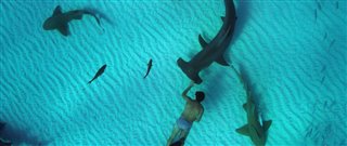 sharkwater-extinction-trailer-2 Video Thumbnail