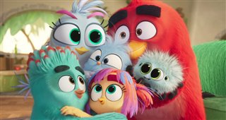 THE ANGRY BIRDS MOVIE 3 Trailer Video Thumbnail
