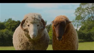 THE SHEEP DETECTIVES Clip - "Crossing Road" Video Thumbnail